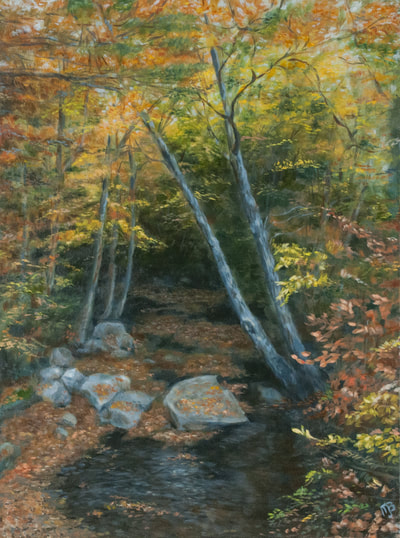 Fall Leaves at the Kancamagus Stream,   New Hampshire
