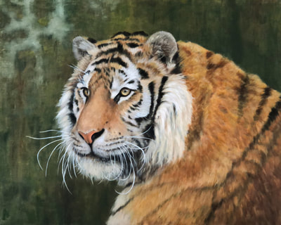 Makari, Sumatran Tiger, endangered species, 15x20, Oil on Canvas